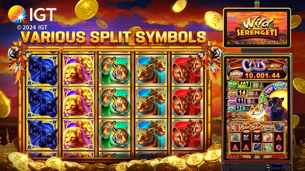 Cash Rally – Slots Casino Game app